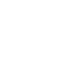 Facebook Page Icon